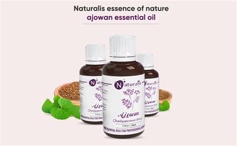 Naturalis Essence of Nature Ajwain/Ajowan Essential Oil (Trachyspermum ...