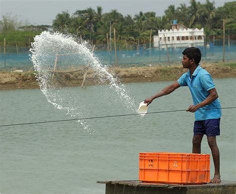 Aquashop || IFB Agro Industries Limited