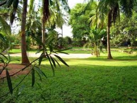 The Martin Farm, bengaluru, India - Top Attractions, Things to Do ...