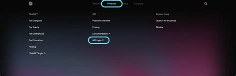 Java How to Put Openai API Key 的图像结果