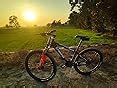 Buy Firefox Bikes Unisex Viper 26T 21 Aluminum-Alloy Speed MTB Mountain ...
