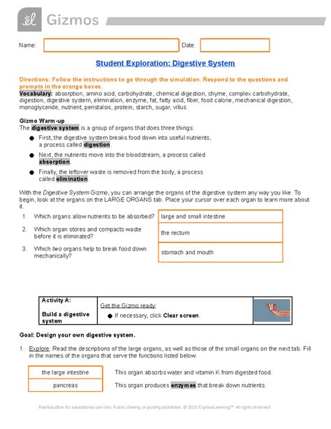 Gizmo: Exploring the Digestive System for Biology 101 - Studocu