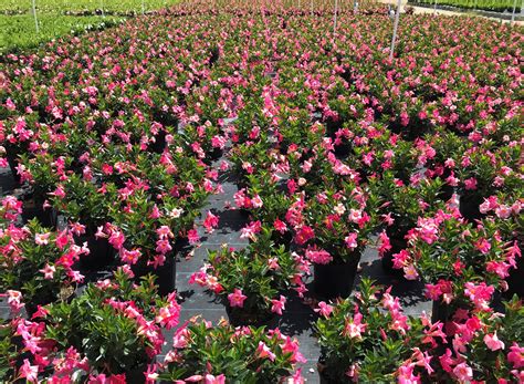 About – Atlas Peat and Soil