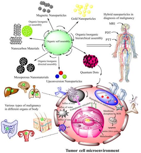 Cancers | Special Issue : Development and Investigation of ...