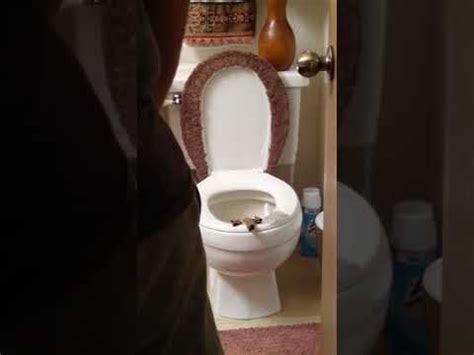 Image result for Modeling Paste Craft Ideas