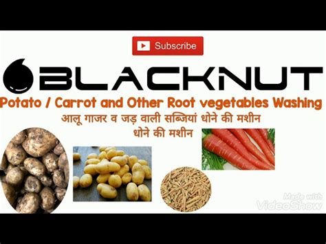 Industrial Fruit & Veg. washer - Vegetable and Fruit Washer ...