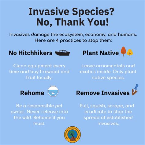 Are Invasive Species Bad at Sara Mccall blog