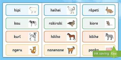 Te Reo Māori Animal Word Cards | Animals in Māori | Display