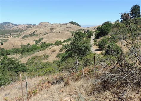 Eden By The Bay: Sibley Volcanic Regional Preserve