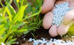 Why is Aeration Important in Wastewater Treatment?