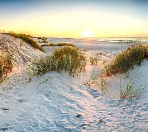 Recipe for a dune: Sand, wind, water, plants | College of Science ...