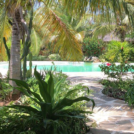 BAOBAB VILLAGE (Watamu) - Villa Reviews & Photos - Tripadvisor