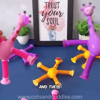 Squishy / Fidgets / Balls – Cots and Cuddles