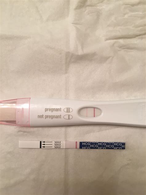 Pregnant negative test - tronicsmery