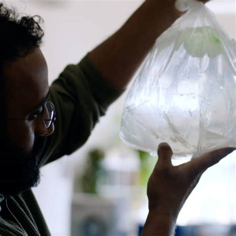 Image result for Walmart Wonder Lab.com