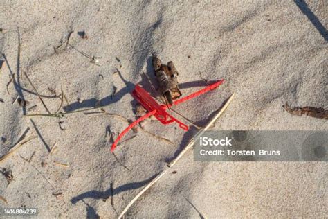 Alien Invasion Beach 的图像结果