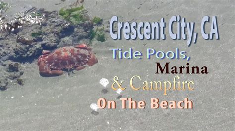 Crescent City, CA Tide Pools, Marina and Campfire on the Beach. - YouTube
