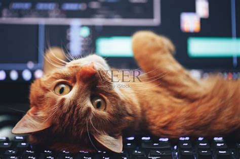 萌萌哒，我就是猫咪，IQUNIX M80猫猫键盘体验分享-搜狐大视野-搜狐新闻