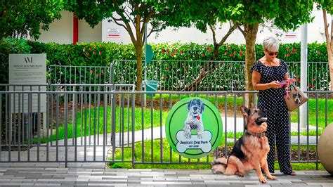 Can Dogs Go Into The Mall at Blanca Wilkerson blog