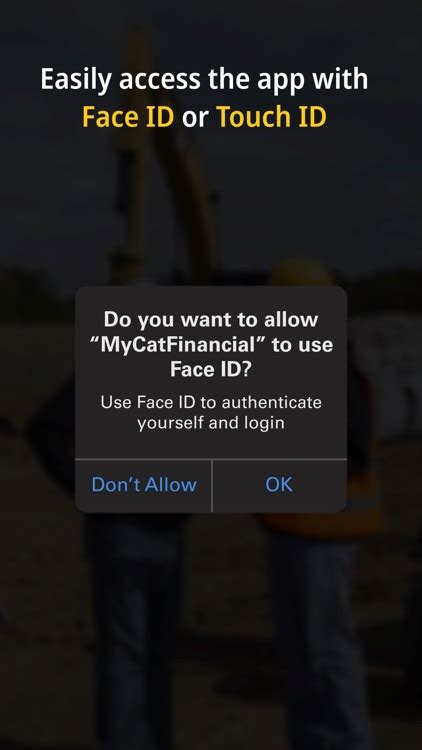 Cat Web Account System 的图像结果