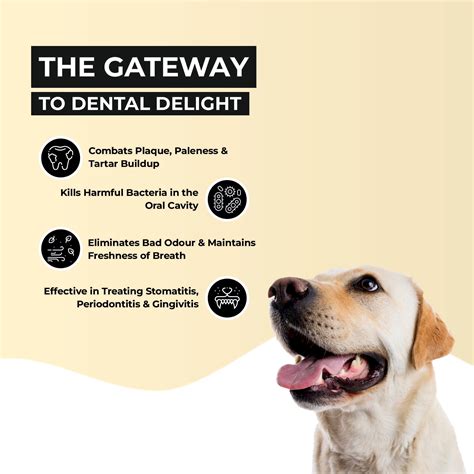 Canni Clean: Dental Spray For Oral Hygiene In Dogs & Cats