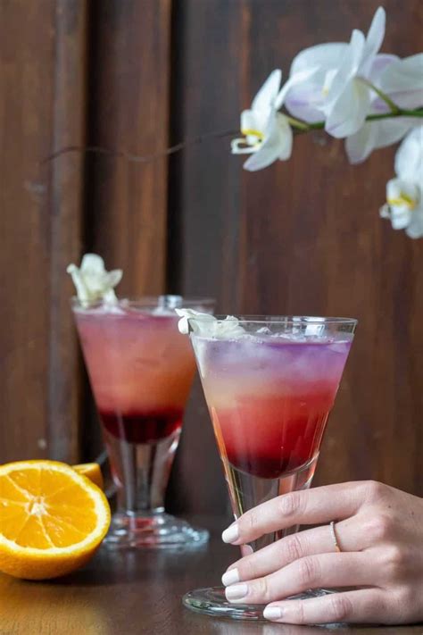 Gin and Juice Drink Recipe - Cilantro Parsley