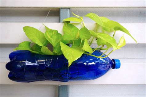 Craft Ideas with Plastic Bottles: Recycling Ideas for Families | Get ...