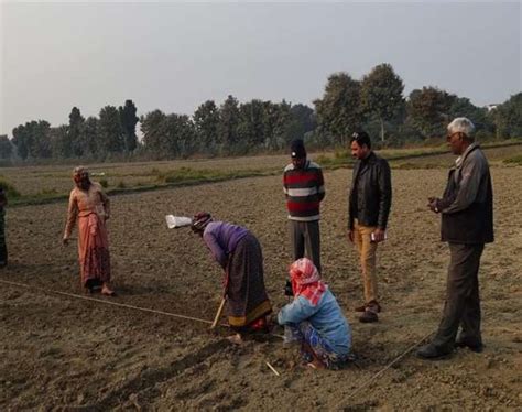 वाराणसी में गोआधारित पद्धति से हो रहा शरबती गेंहू का प्रदर्शन, एक एकड़ ...