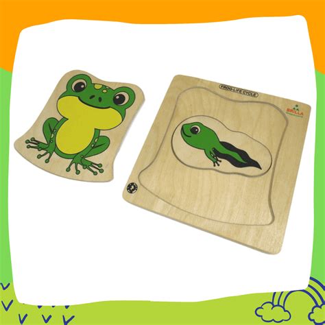 Fish Life Cycle & Frog Life Cycle – Brilla: One-Stop Solution for ...