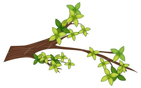 Tree Branch Art