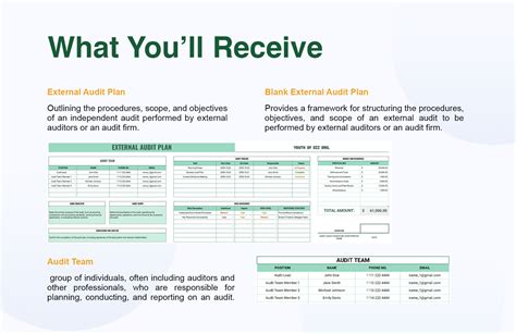 Image result for External Audit Examples