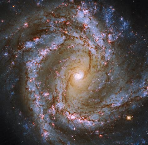 Barred Spiral Galaxy Milky Way