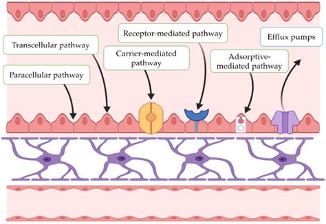 Antiparkinsonian Agents in Investigational Polymeric Micro- and Nano ...