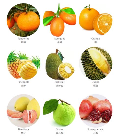 水果名称大全500种 水果名称汇总_知秀网