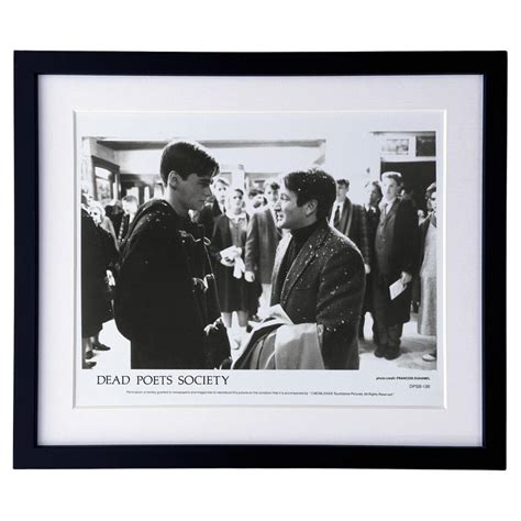 Society Film 的图像结果