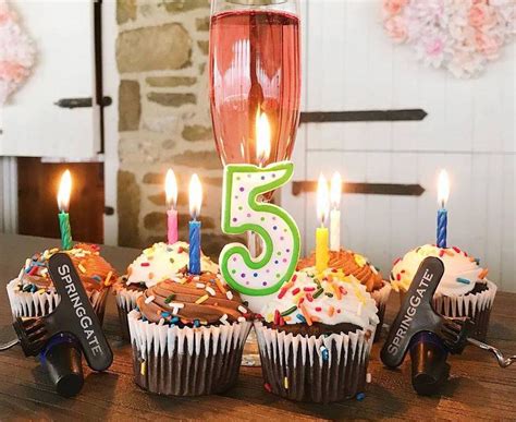 Spring Gate Vineyard celebrates 5th birthday, looks forward to more ...