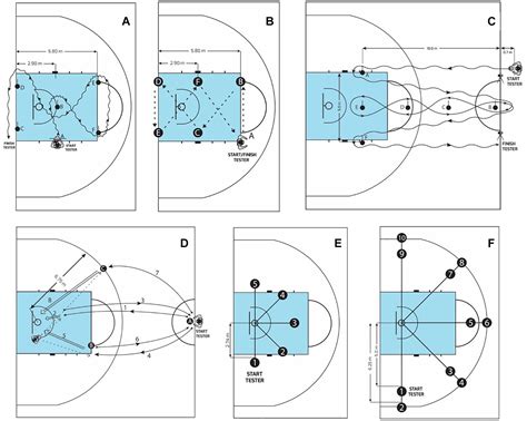 Basketball Free Throw And 3 Point Distance at Maria Vitagliano blog