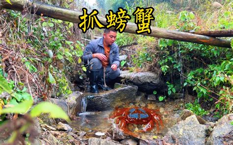 湖北宜昌：旅游日，游客在三峡大瀑布景区小河中抓螃蟹！快乐多！ - 每日头条