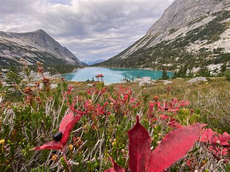 Gallery - Bella Coola Medical Opportunities