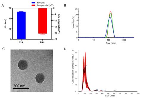 Research and Application of Kupffer Cell Thresholds for BSA Nanoparticles