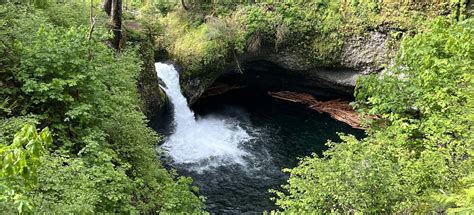 Tunnel Falls via Eagle Creek Trail #440 and Hikes, Oregon - 4,277 ...