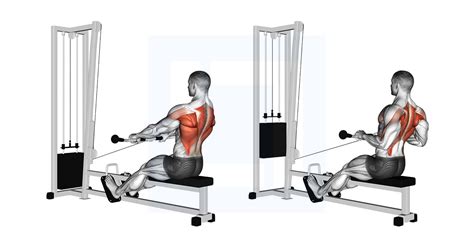 Image result for Inverted Row Back Exercise