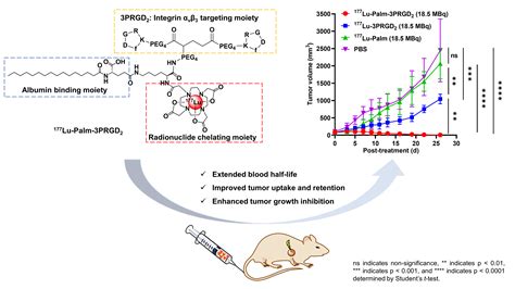 Palmitic Acid-Conjugated Radiopharmaceutical for Integrin αvβ3-Targeted ...