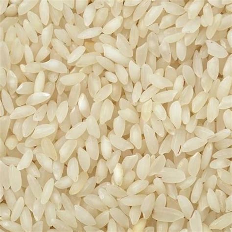 Sambha Mansoori Rice Manufacturers and Suppliers from Ambedkar Nagar