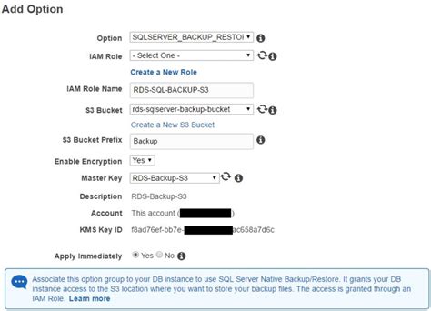 Image result for SQL Native Backup