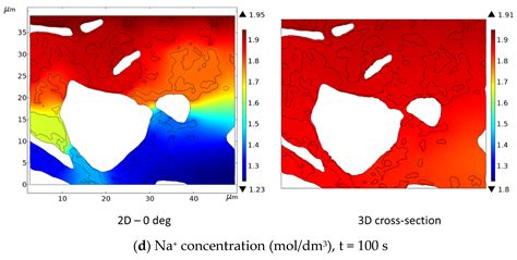 3D Multi-Ion Corrosion Model in Hierarchically Structured Cementitious ...