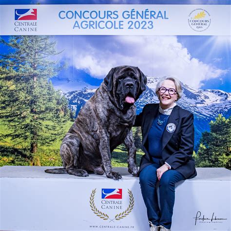Judges’ list – World Dog Show