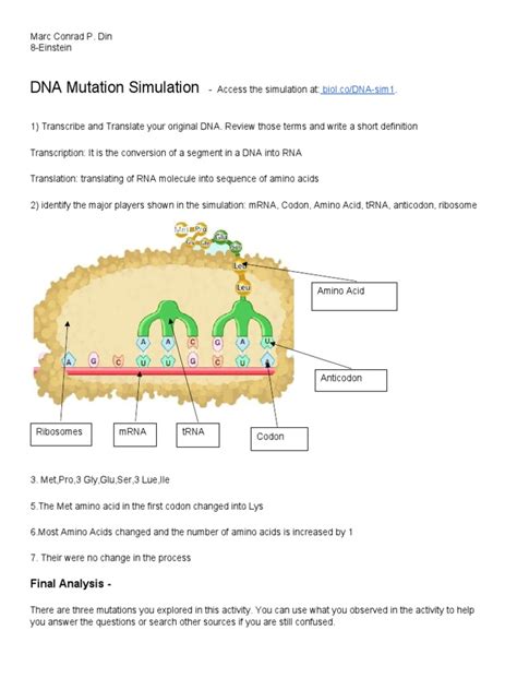 Image result for DNA Simulation Worksheet