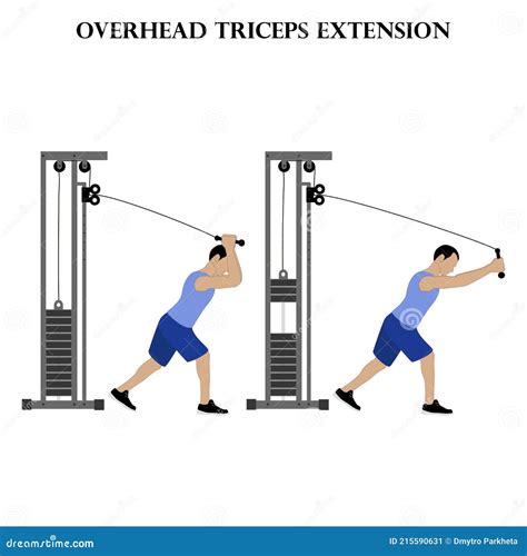 Cable Rope Overhead Triceps Extension