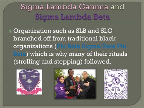 Stepping Lessons 的图像结果